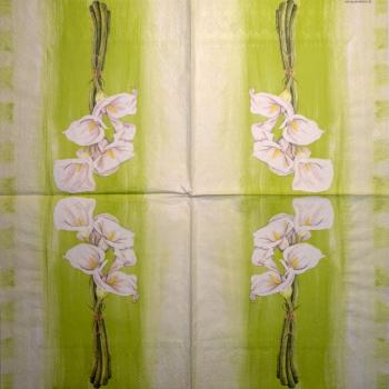 035 Calla - 3-ply